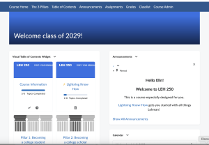 Upper portion of the course "home" page in Brightspace